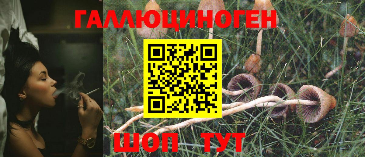 Галлюциногенные грибы Magic Shrooms Благовещенск
