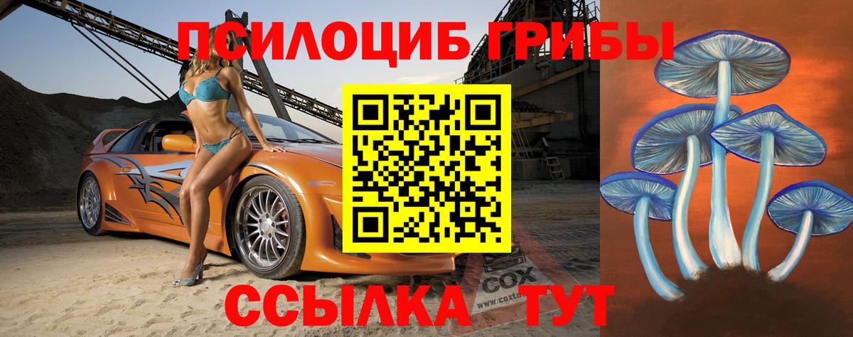 Галлюциногенные грибы прущие грибы  Псилоцибиновые грибы Cubensis  Вход с VPN  Благовещенск 